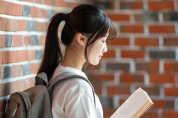 湖南高职单招学校人数排名 湖南大专单招学校排名