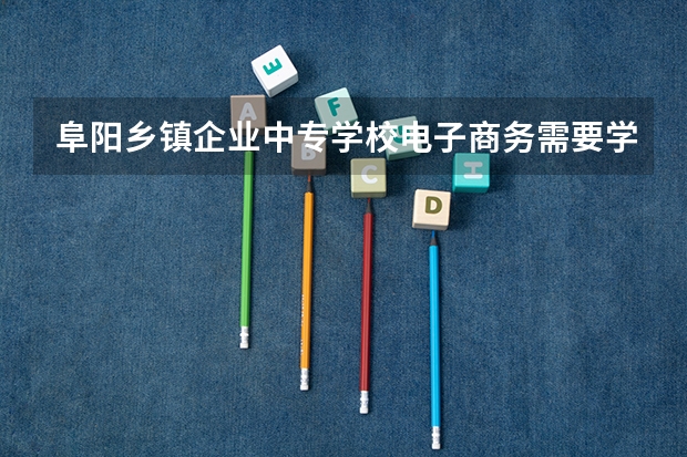 阜阳乡镇企业中专学校电子商务需要学哪些课程 专业能力要求是什么