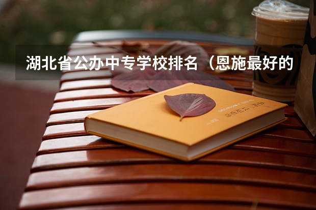 湖北省公办中专学校排名（恩施最好的中学排名）