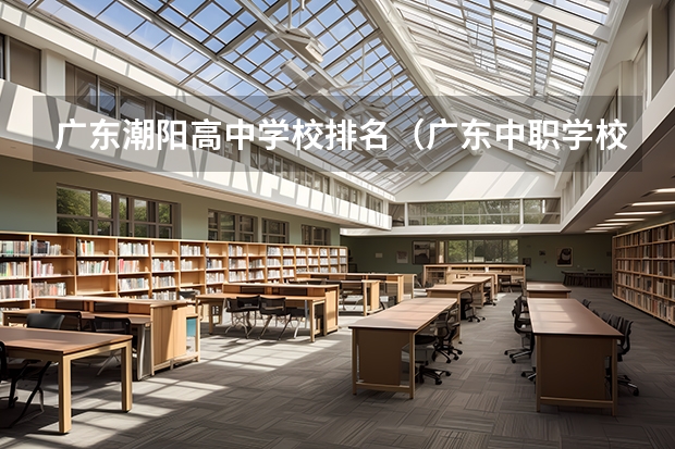 广东潮阳高中学校排名（广东中职学校排名）