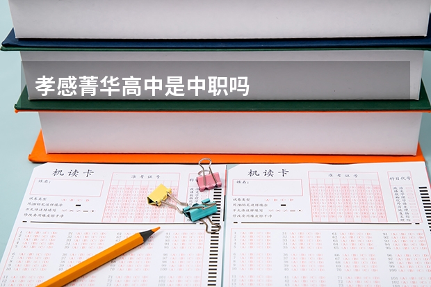 孝感菁华高中是中职吗