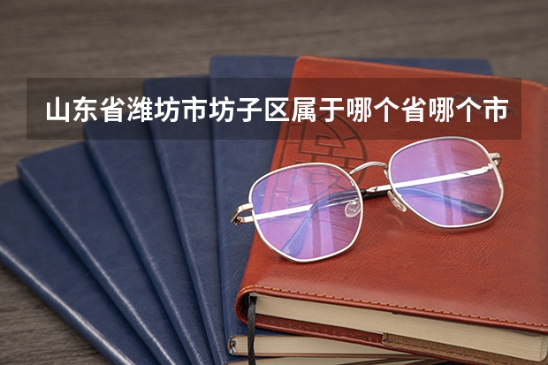 山东省潍坊市坊子区属于哪个省哪个市