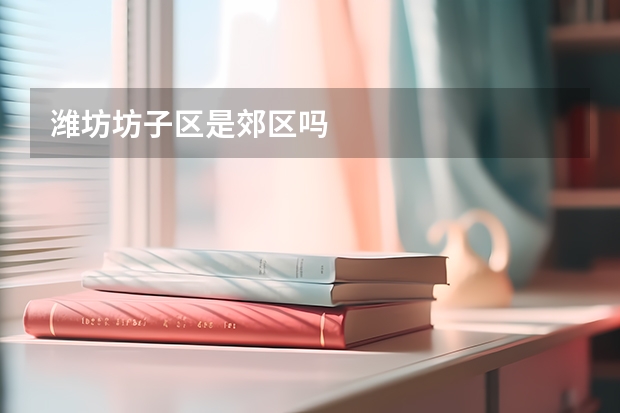 潍坊坊子区是郊区吗
