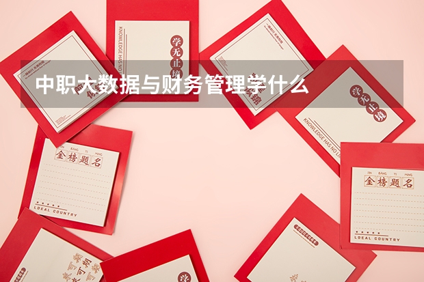 中职大数据与财务管理学什么