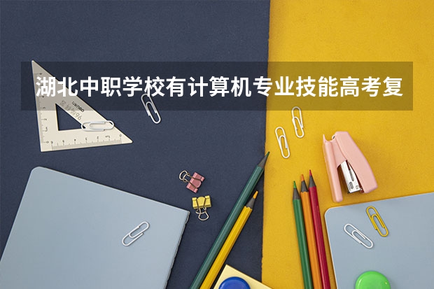 湖北中职学校有计算机专业技能高考复读班吗？