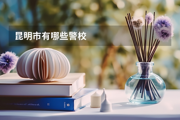 昆明市有哪些警校