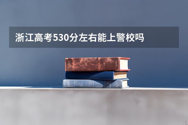 浙江高考530分左右能上警校吗