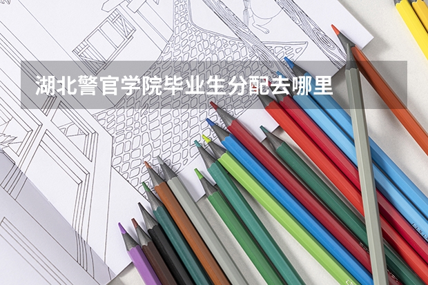 湖北警官学院毕业生分配去哪里