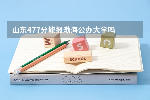 山东477分能报渤海公办大学吗