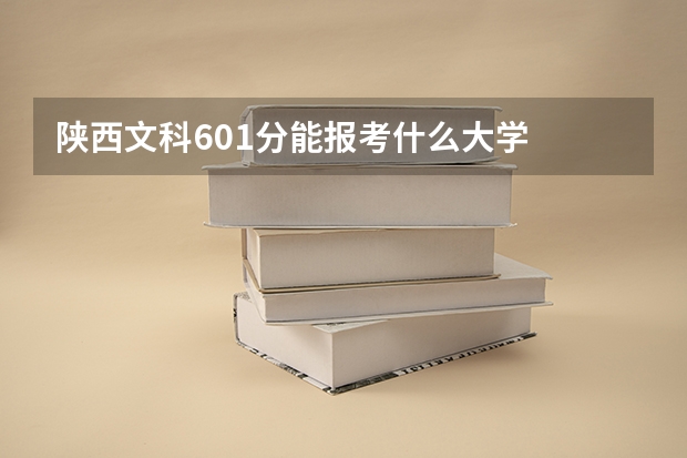 陕西文科601分能报考什么大学
