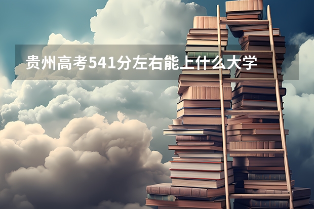 贵州高考541分左右能上什么大学