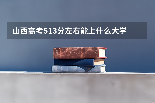 山西高考513分左右能上什么大学