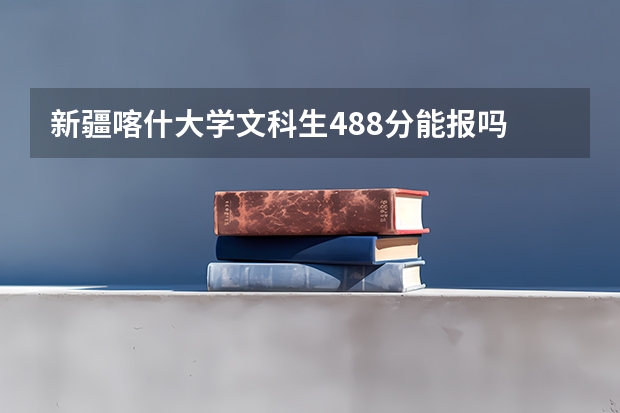新疆喀什大学文科生488分能报吗